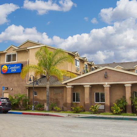 Comfort Inn Cockatoo Near Lax Airport Hawthorne Exterior photo