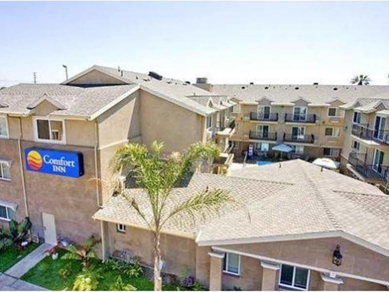 Comfort Inn Cockatoo Near Lax Airport Hawthorne Exterior photo